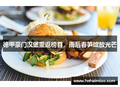 德甲豪门汉堡重返榜首，雨后春笋绽放光芒