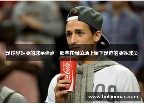 足球界姓贾的球星盘点：那些在绿茵场上留下足迹的贾姓球员